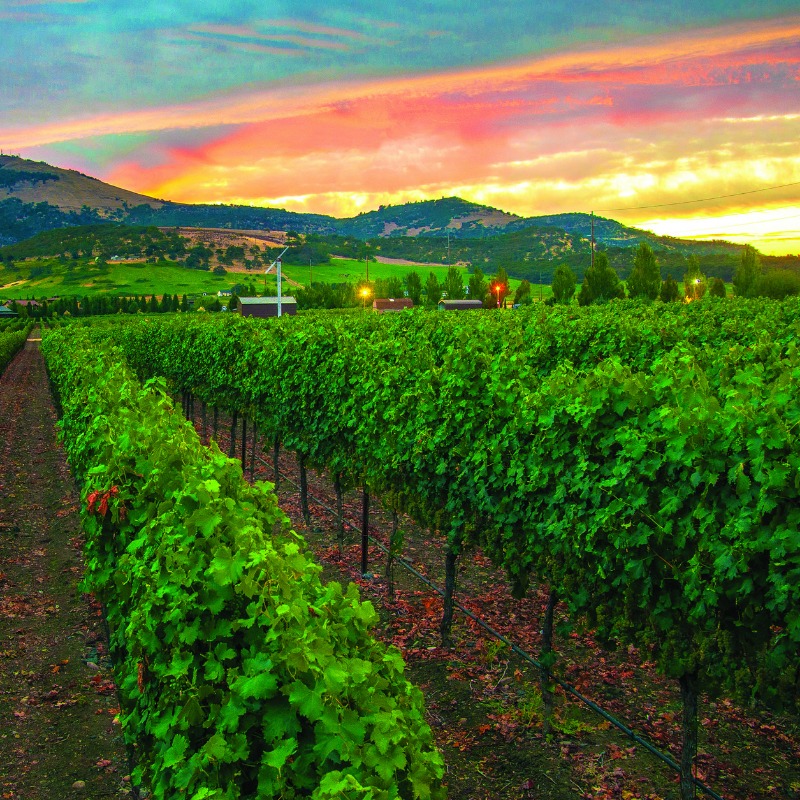 Best Medford Restaurants in Southern Oregon Wine Country