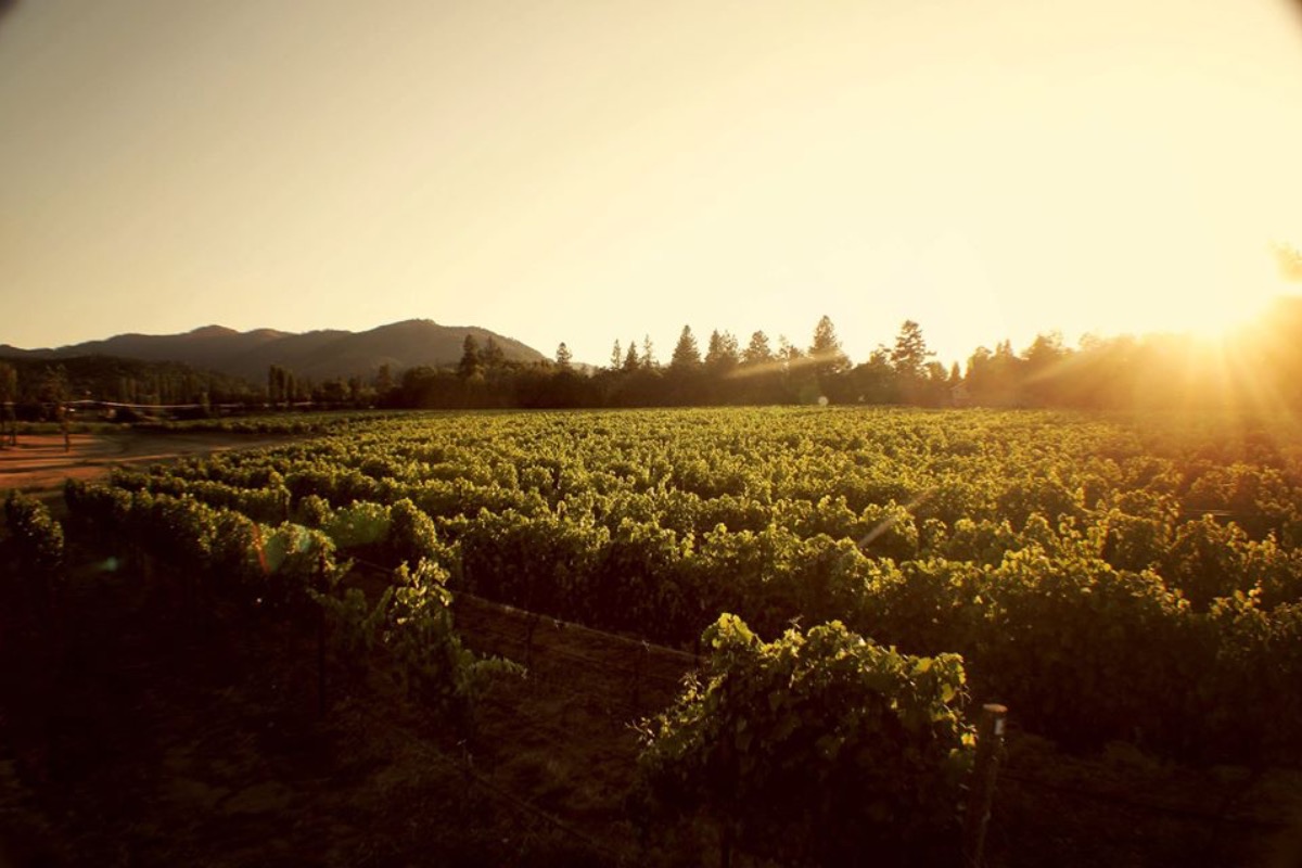 Top events and festivals in Medford and Southern Oregon