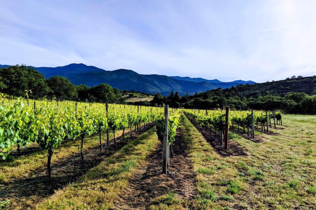 Best Medford Restaurants in Southern Oregon Wine Country