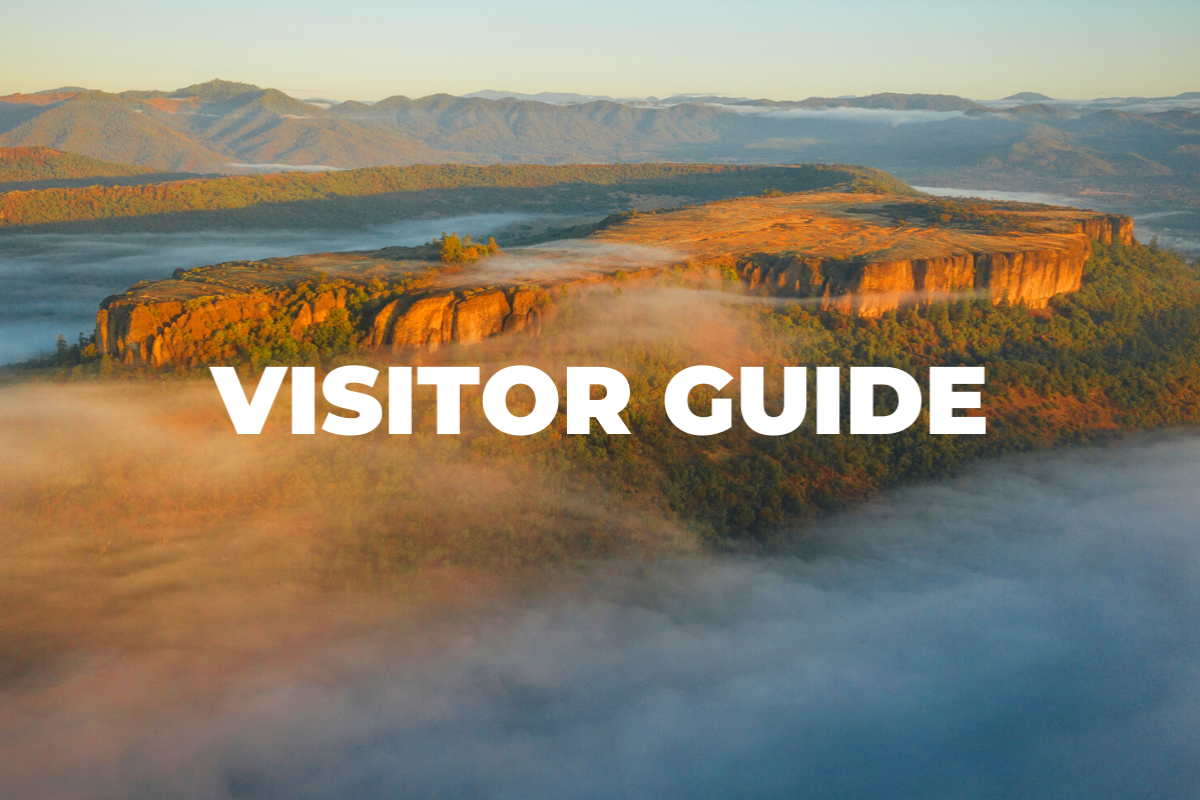 Medford Visitor Guide