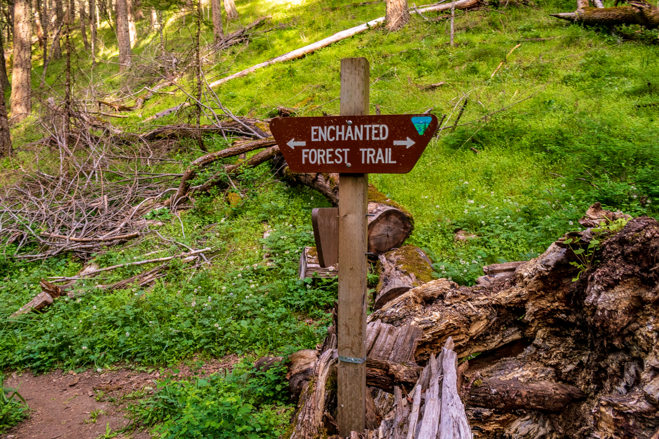 hiking trail signs