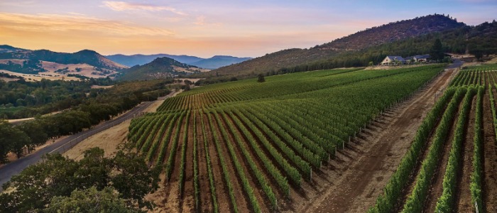 wine routes, vineyard, wine. winery lifestyle, scenery, sunset, Medford