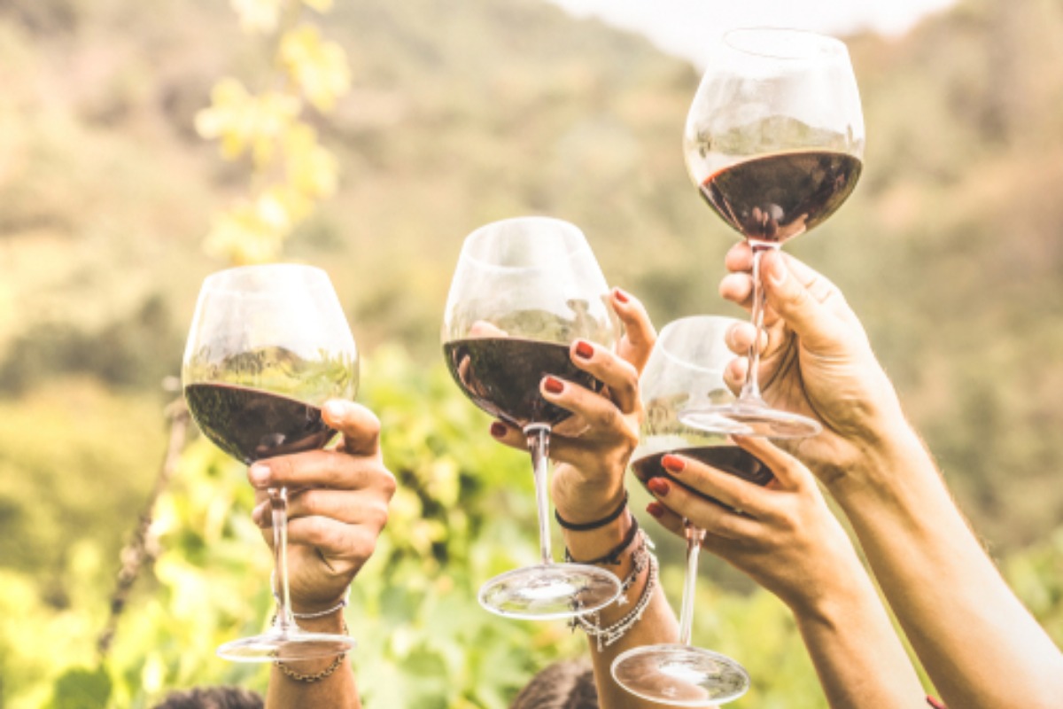 wine, cheers, winery lifestyle, wine tasting