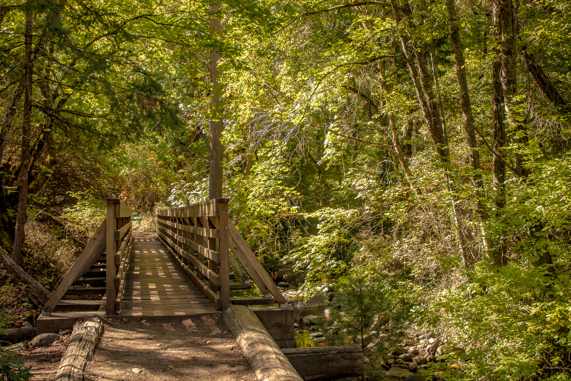 Lithia Park, best Oregon hikes in Medford, hiking and biking trails in Medford