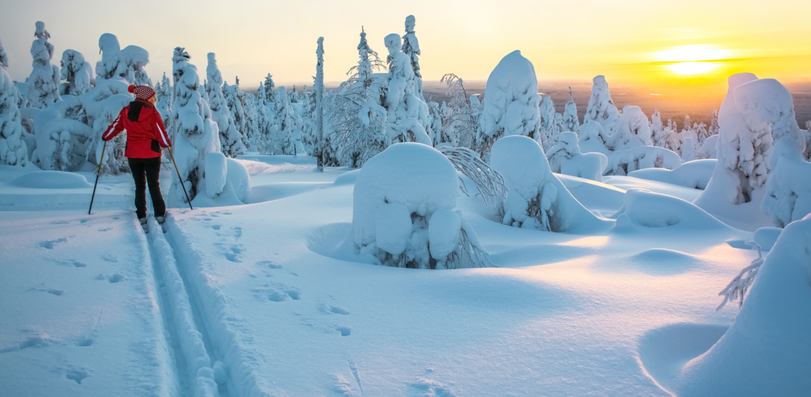 Winter events, snowshoeing, snow, winter, wonderland, crater lake, trees, things to do, christmas, things to do