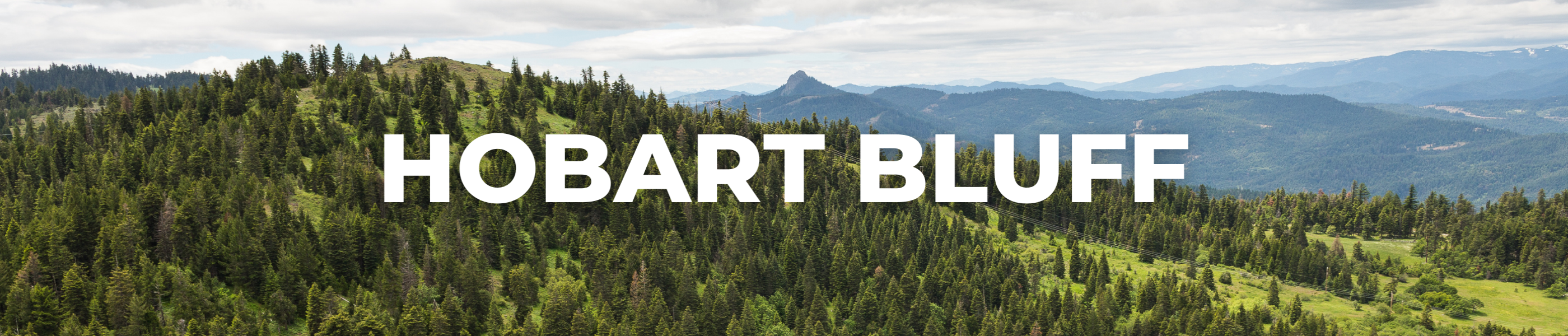 Hobart Bluff, Medford Hiking and Biking, hike, bike, trails, path, trees, forest, 