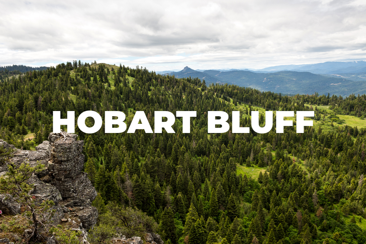 Hobart Bluff, Medford Hiking and Biking, hike, bike, trails, path, trees, forest, 