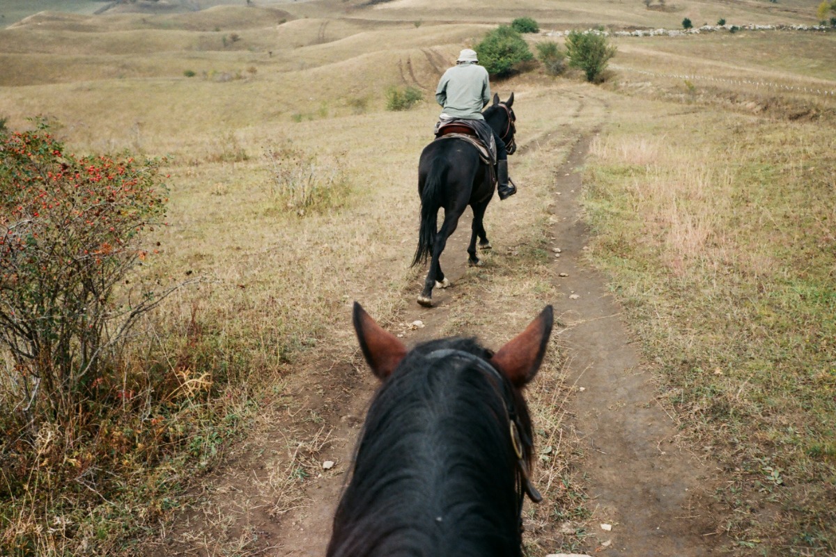 horseback riding, things to do, bareback, horses, adventure, sports, equestrian, extreme sports, recreational, outdoor adventure