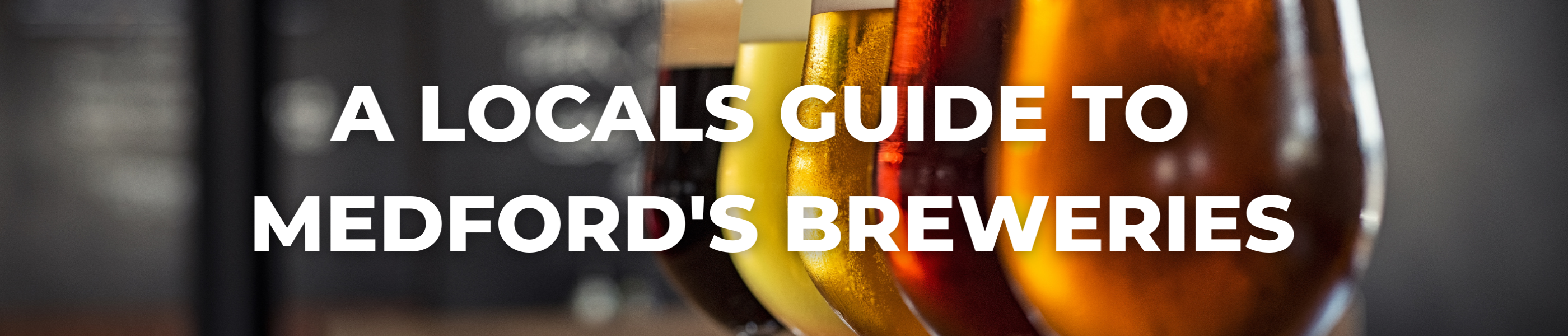 blog header, a local's guide to medford's best breweries