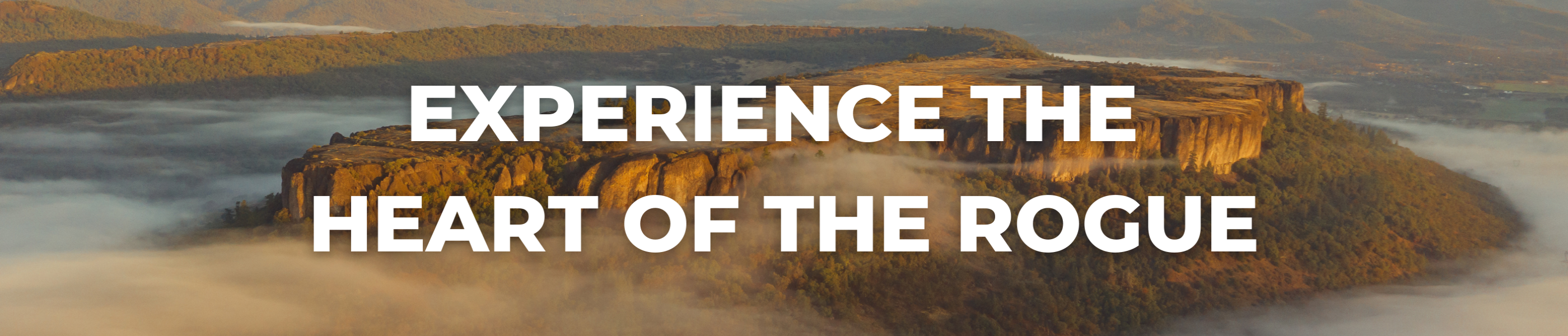 blog header, experience the heart of the rogue