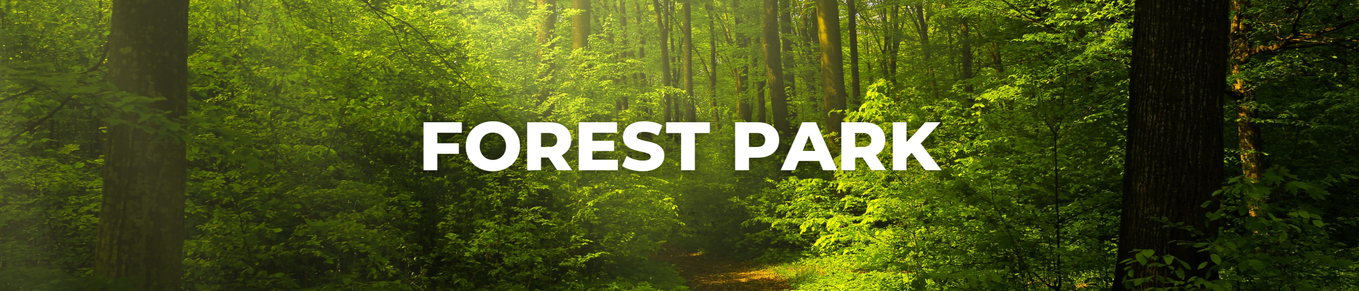 blog header, forest park