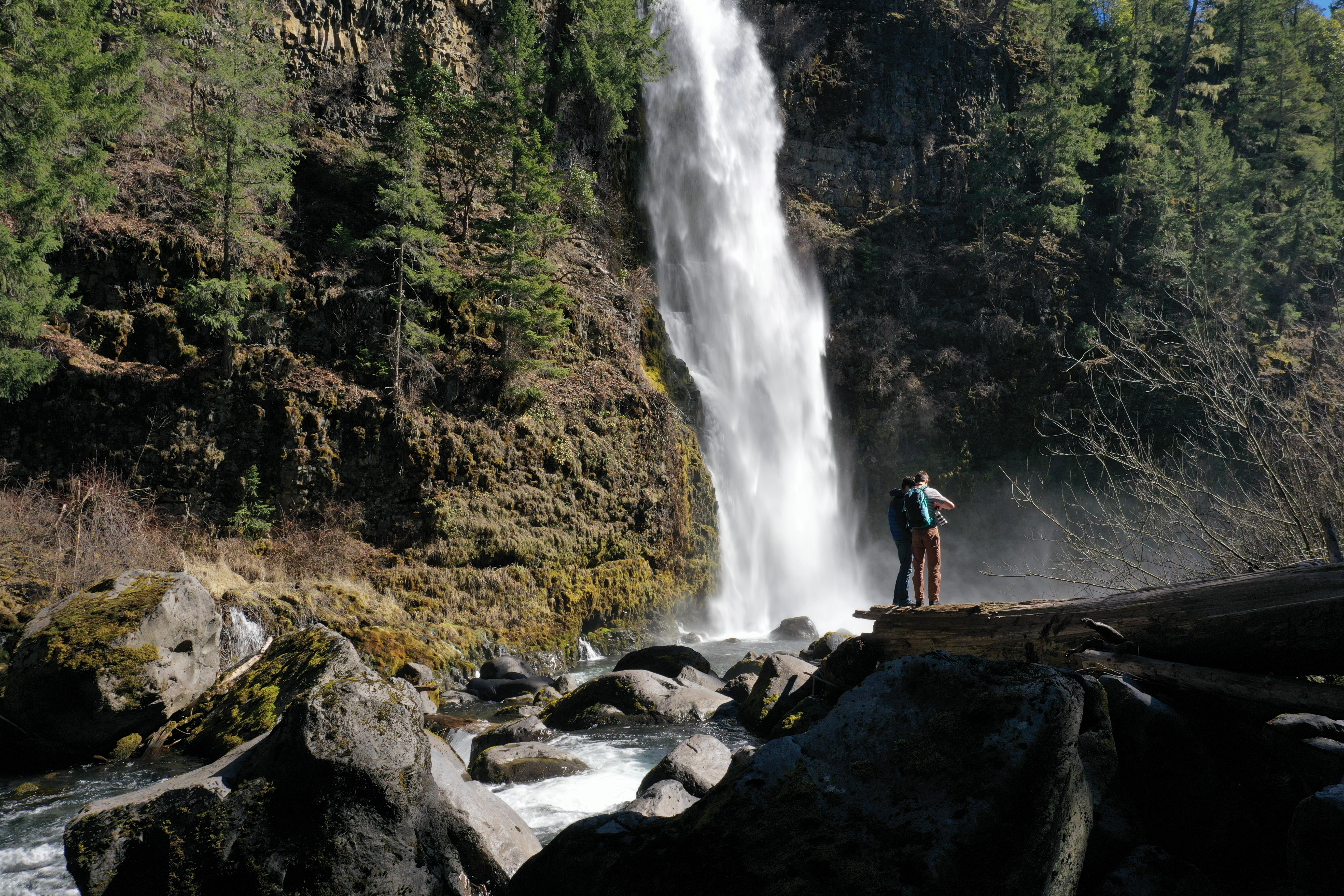 waterfalls, southern oregon hikes, medford hiking and biking, trails, path, trees, forest