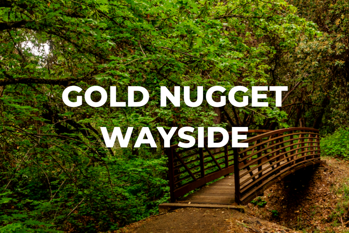 Gold Nugget Wayside, things to do, hiking, hikes, trails, favorite locations, outdoor adventure, Medford, waterfalls