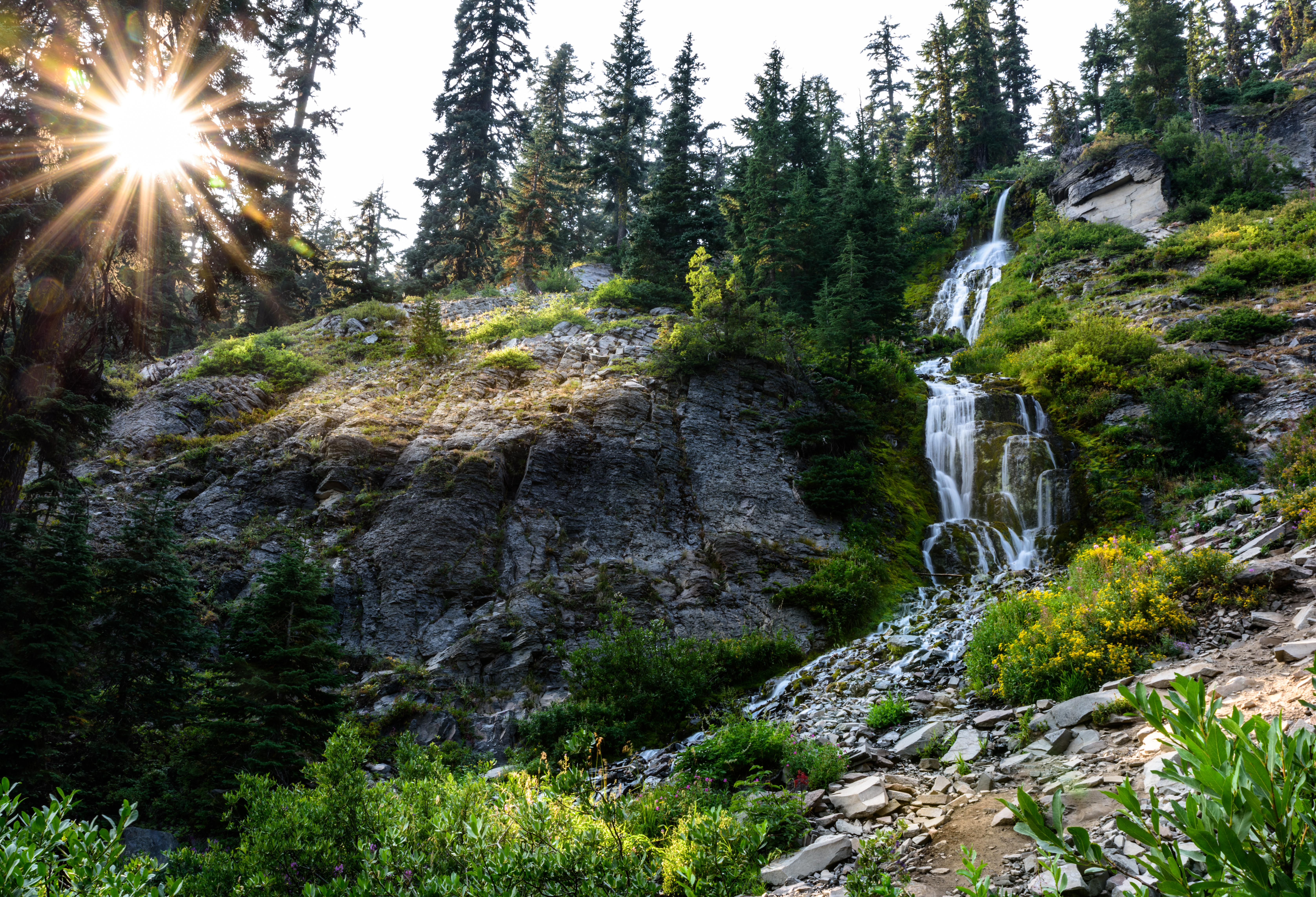 Crater Lake National Park, trees, forest, hiking, hikes, vidae falls, waterfalls in medford, oregon