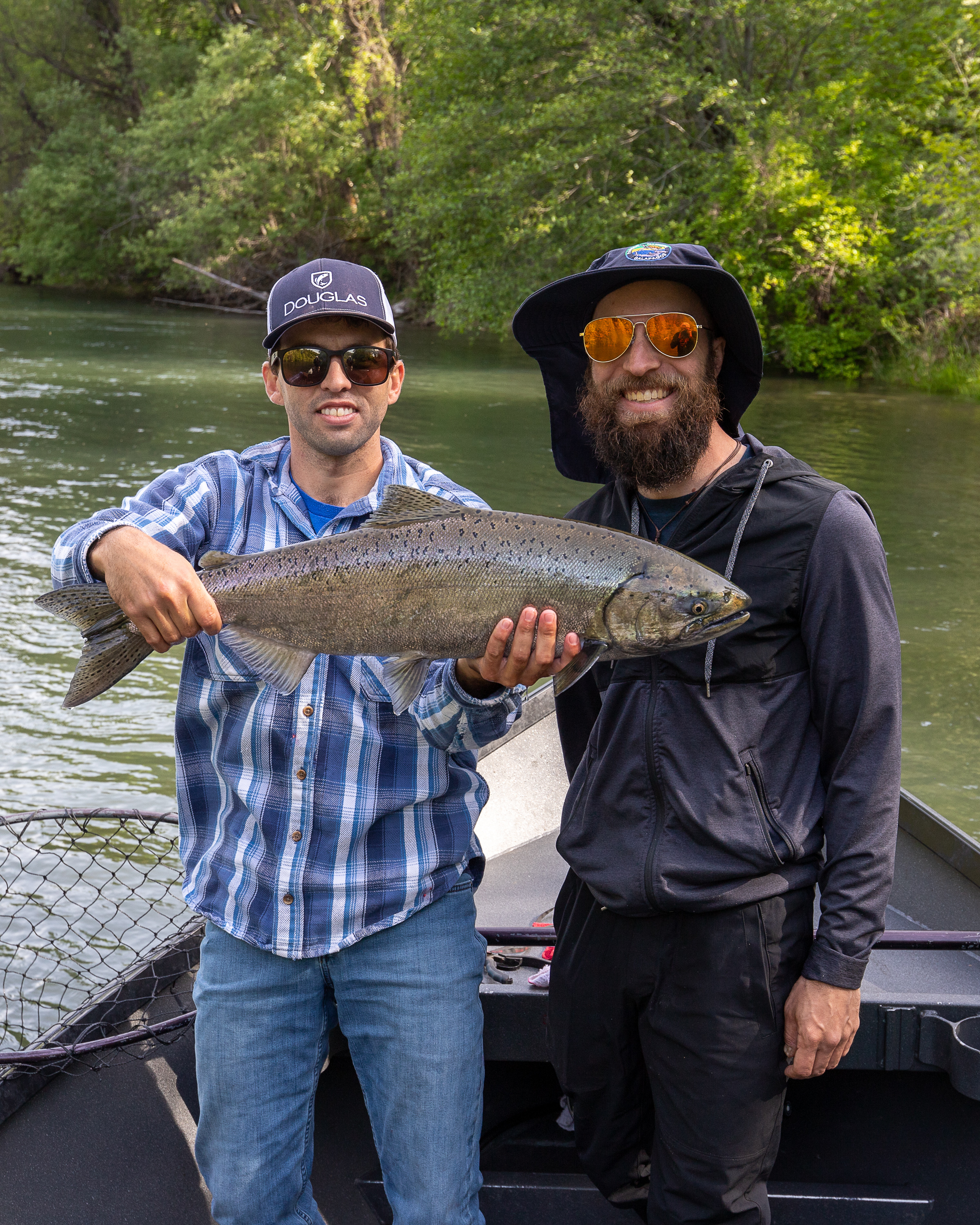 Fisherman enjoying time on the Rogue River, fishing, fish, fly fishing, water, trees, forest, outdoor adventure, things to do