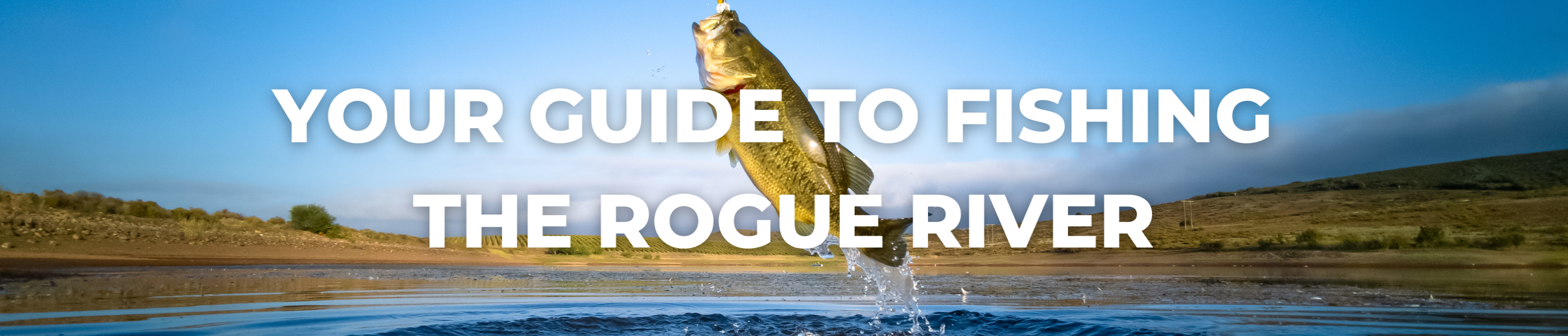 Your Guide to Fishing the Rogue River