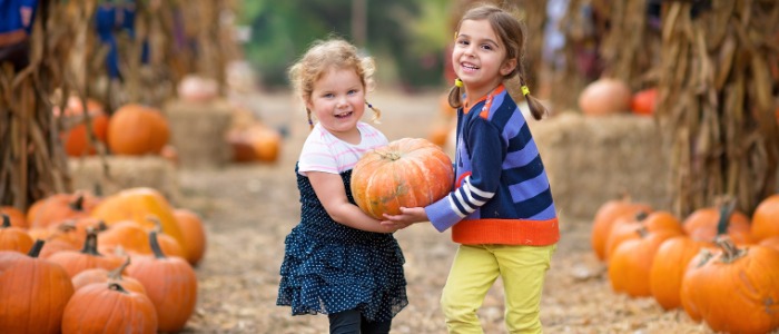 Pumpkins, things to do, fall, autumn, kids, play, Medford farms, harvest festival