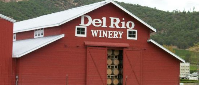 Del Rio Vineyards in Gold Hill, Oregon, vineyards, fall, colors, autumn, things to do, wine, winery, rogue valley