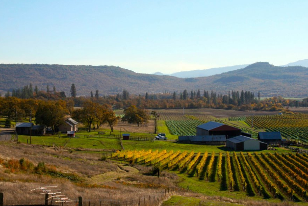 cliff creek vineyard with barn and vineyard