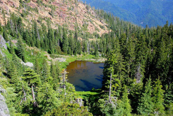 red butte wilderness near ruch oregon, hiking and biking, hikes, things to do, outdoor adventure