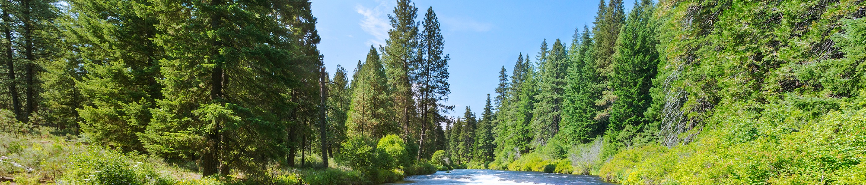 Rogue River is the perfect place for whitewater activities , Rafting on the Rogue River , rafting, rogue river, white water, outdoors, things to do,