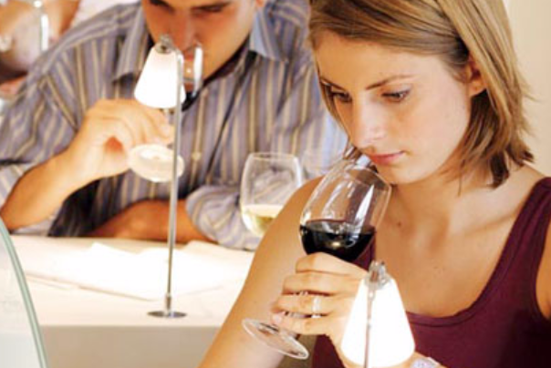 Southern oregon wine institute, wine tasting, winery, wine, pairing