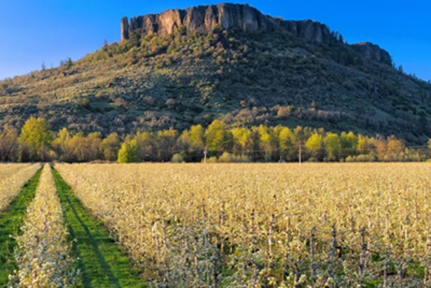 Lower Table Rock, hiking, biking, trails, vineyard, winery